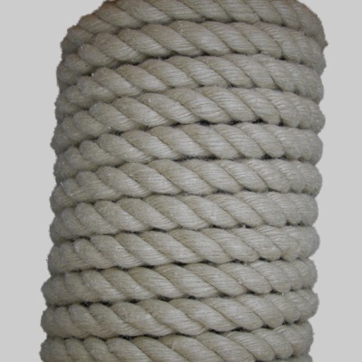 Ø 25mm